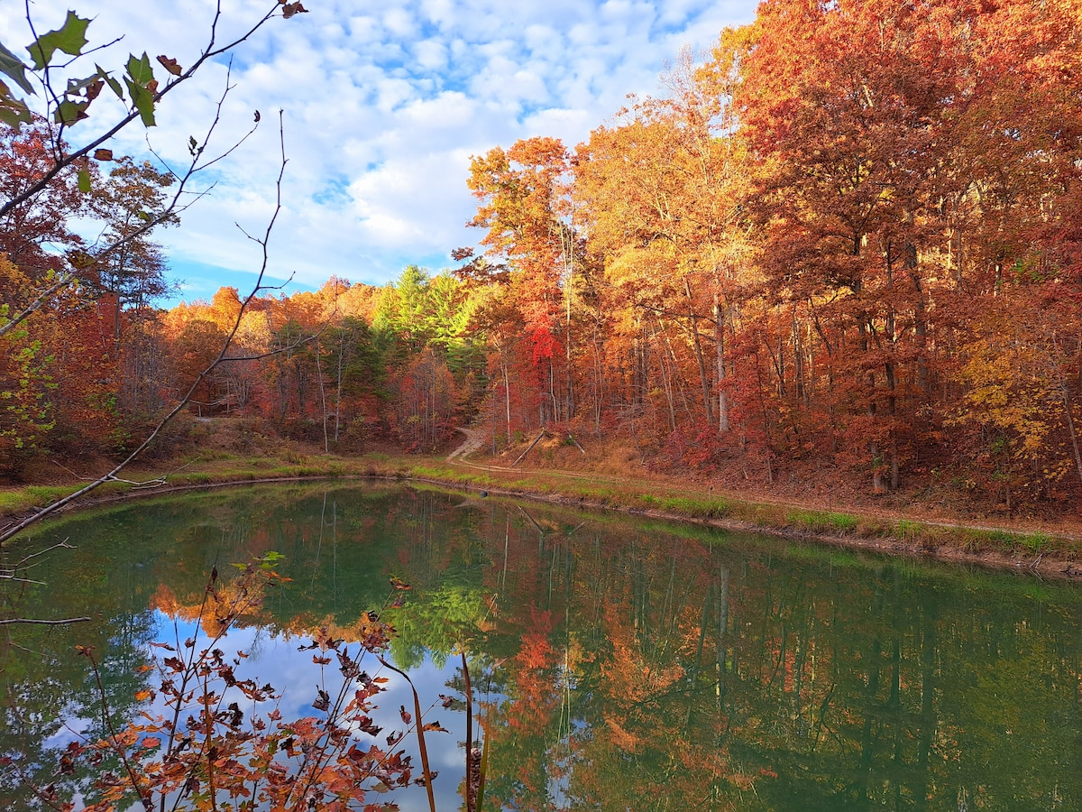 A tranquil pond is surrounded by trees displaying vibrant autumn foliage. The still water reflects the bright oranges, yellows, and reds of the leaves above, creating a serene, natural landscape. A pathway is faintly visible in the background, inviting exploration of the area.