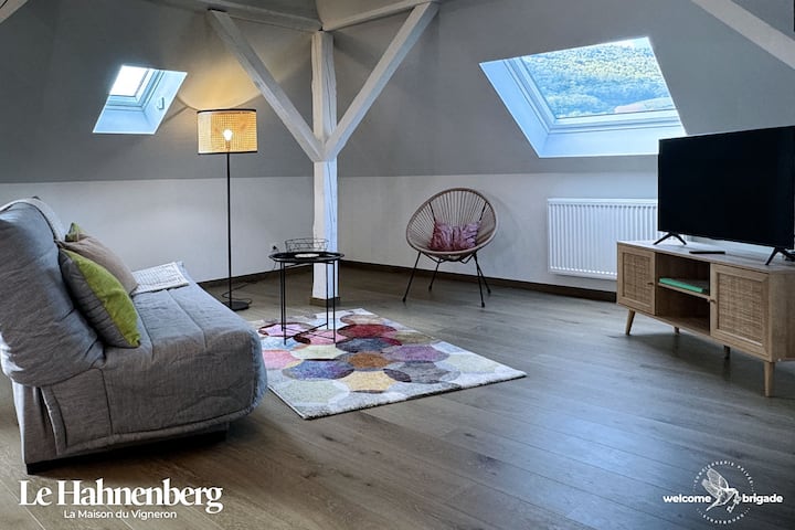 Le Hahnenberg - Cocon De Charme Sous Les Toits - Kintzheim