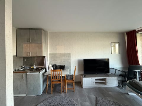 Top performing Airbnb: Apartment with Rhine view in Hammfeld