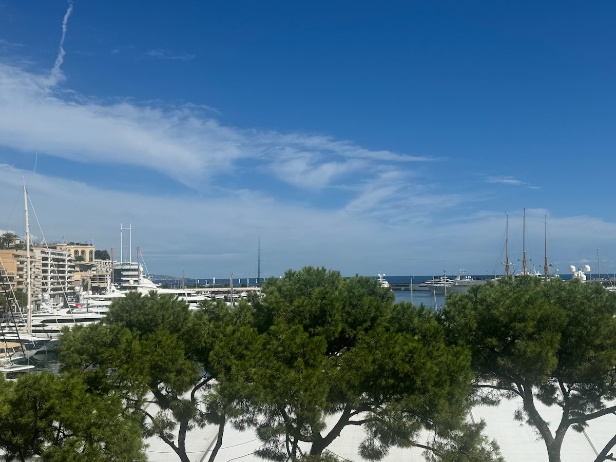 A vibrant marina scene features a variety of yachts lined along the water. Lush green trees are positioned in the foreground, framing the view. A clear blue sky adds to the serene atmosphere of this coastal location.