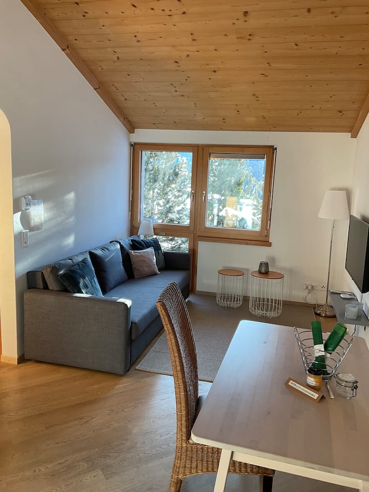 Gemütliche Ferienwohnung - Sedrun