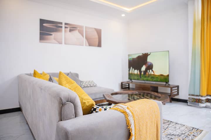 Luxurious 2 Bed, 2 Bath Behind African Union - Addis Ababa