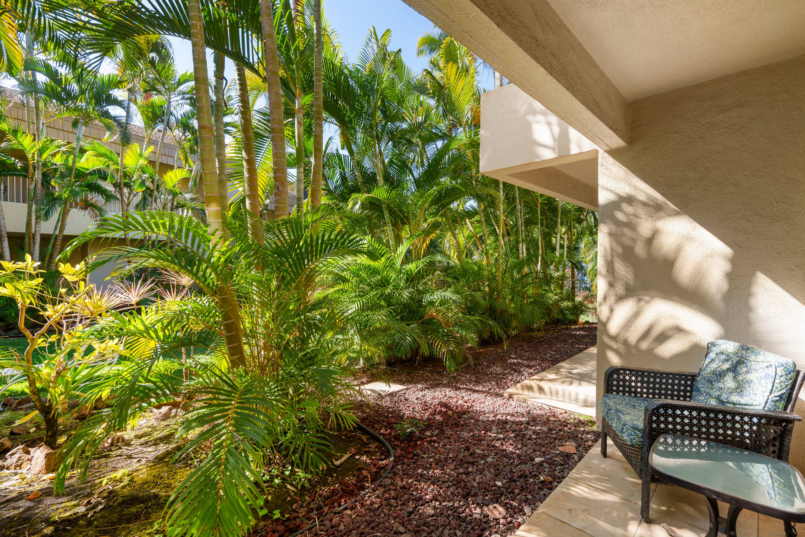 Condo in Kihei · ★4.92 · Studio · 1 bed · 1 private bath - Image 21
