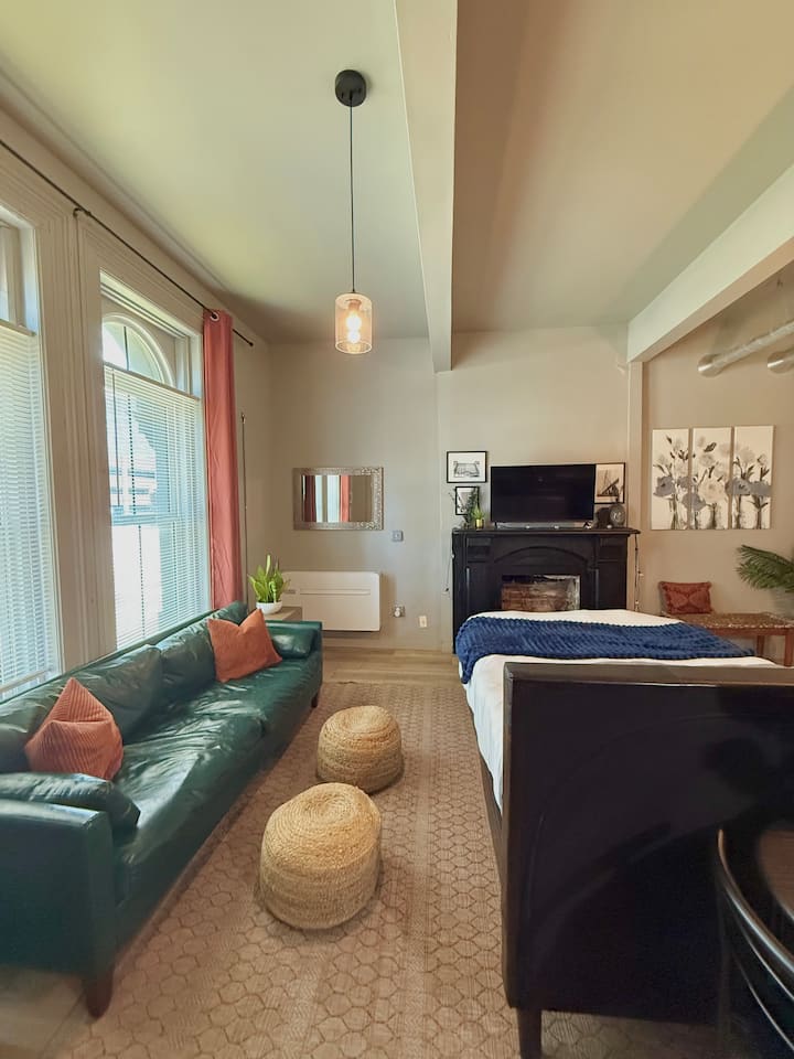 Posh Studio, King Bed, Free Parking - Detroit, MI