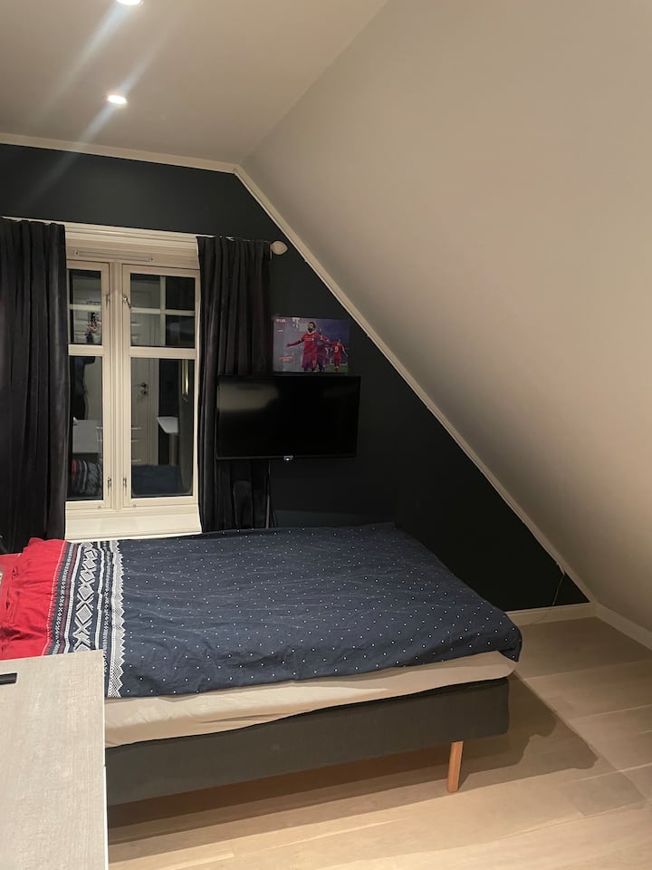Трети кат во спалната соба. Излезете во дневната соба на поткровјето. Кревет широк 120 см 