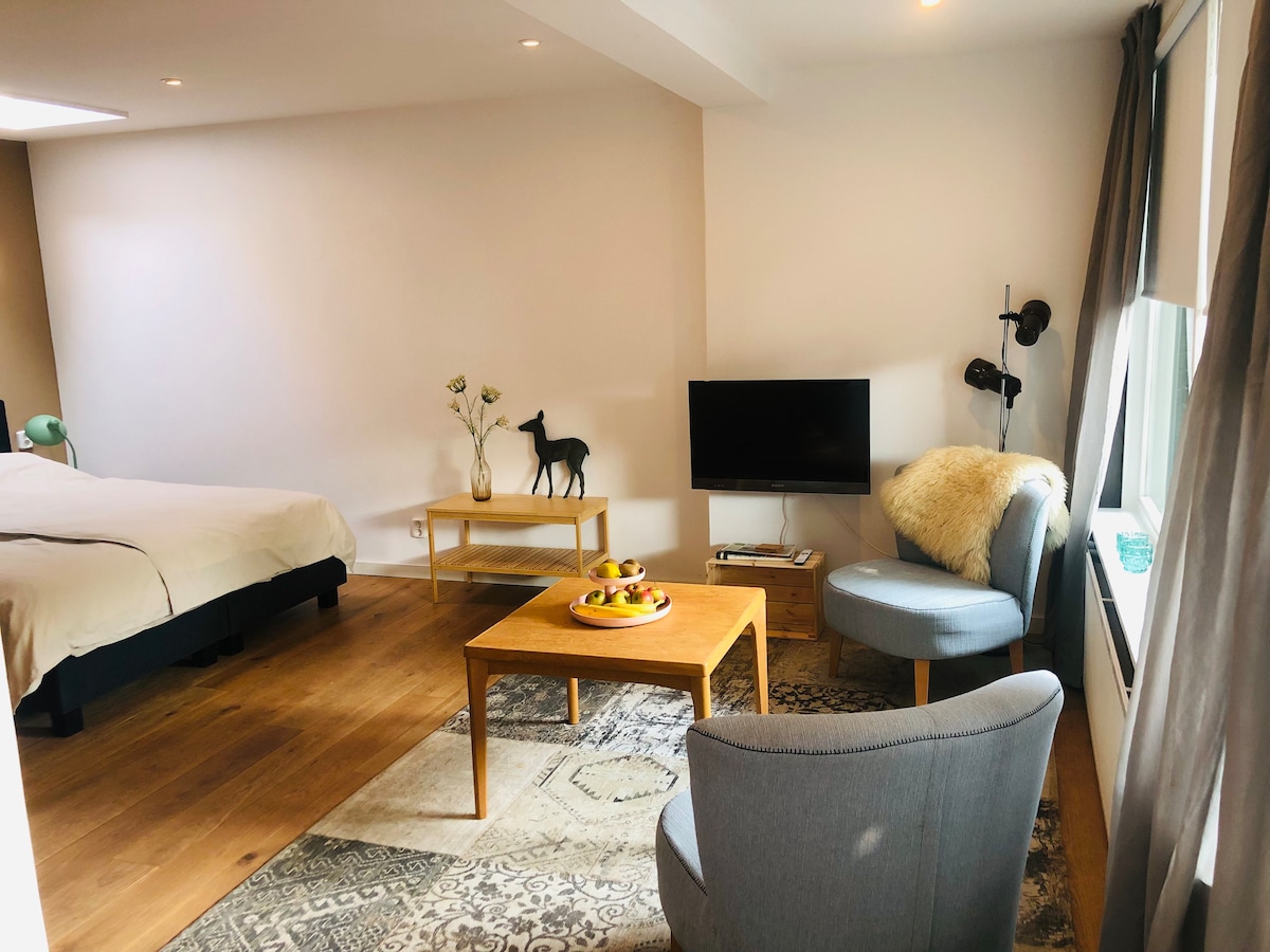 A modern living space is presented with a spacious bed, complemented by a wooden coffee table and a cozy armchair. A television is positioned against the wall, while natural light filters through the window, highlighting the warm wooden flooring and decorative elements.