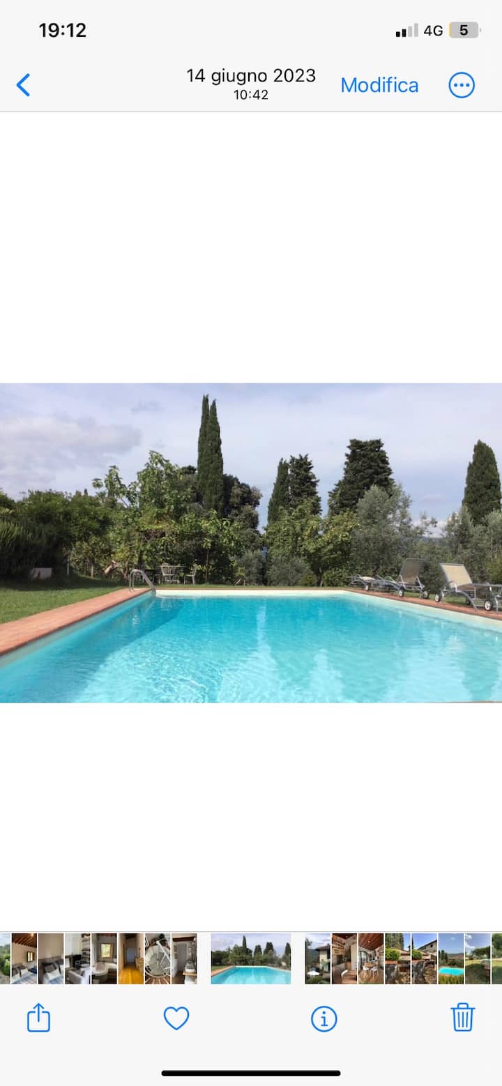 Authentic Organic Art Luxury Space Swimmingpool - Mugello