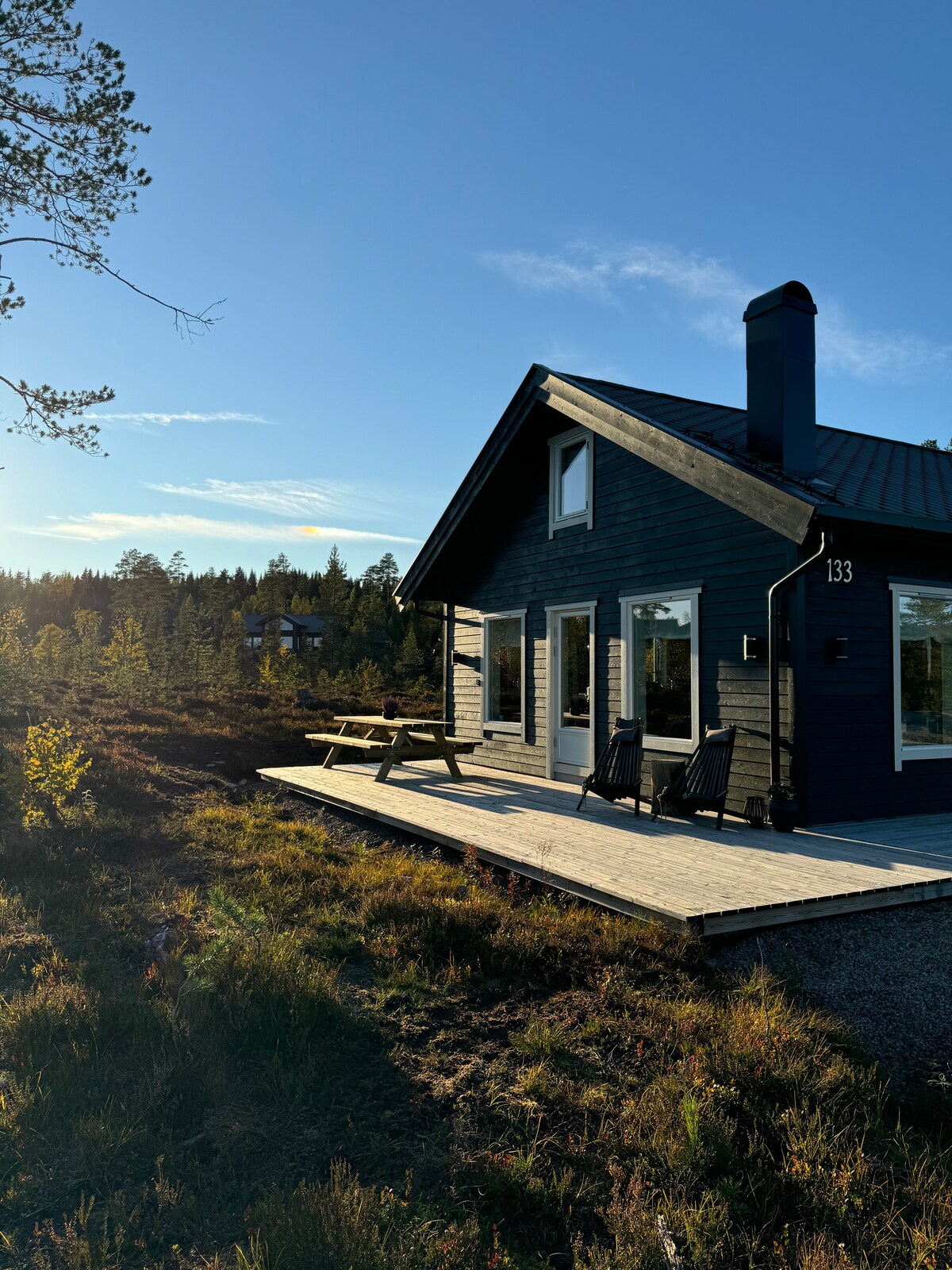 A modern cabin is positioned on a wooden deck, featuring outdoor seating options. Natural surroundings consist of dense trees and shrubs, with a clear blue sky above. The structure's black exterior contrasts with the vibrant greenery.