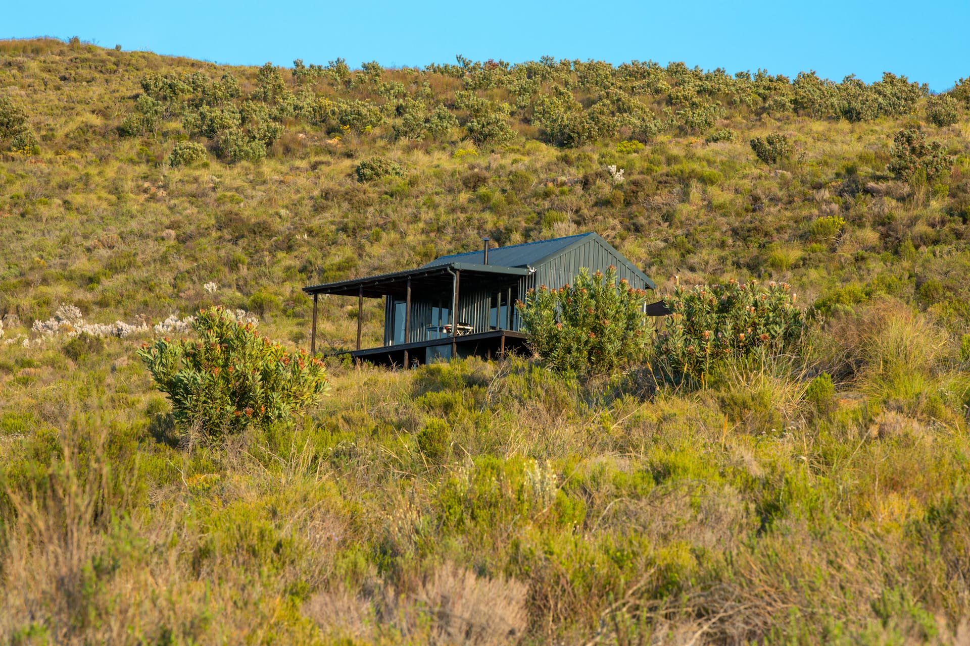 Hideaway Cabin 4