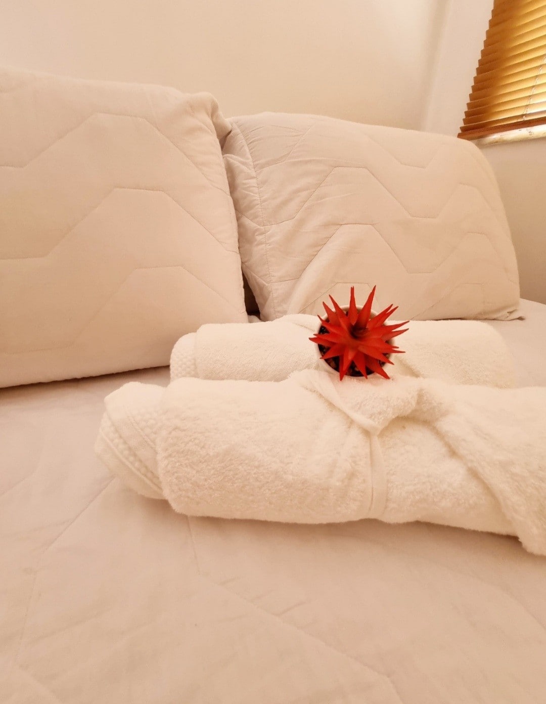 Proporcionamos sábanas y toallas limpias y suaves. ¡Nuestra preocupación es proporcionar comodidad y limpieza!