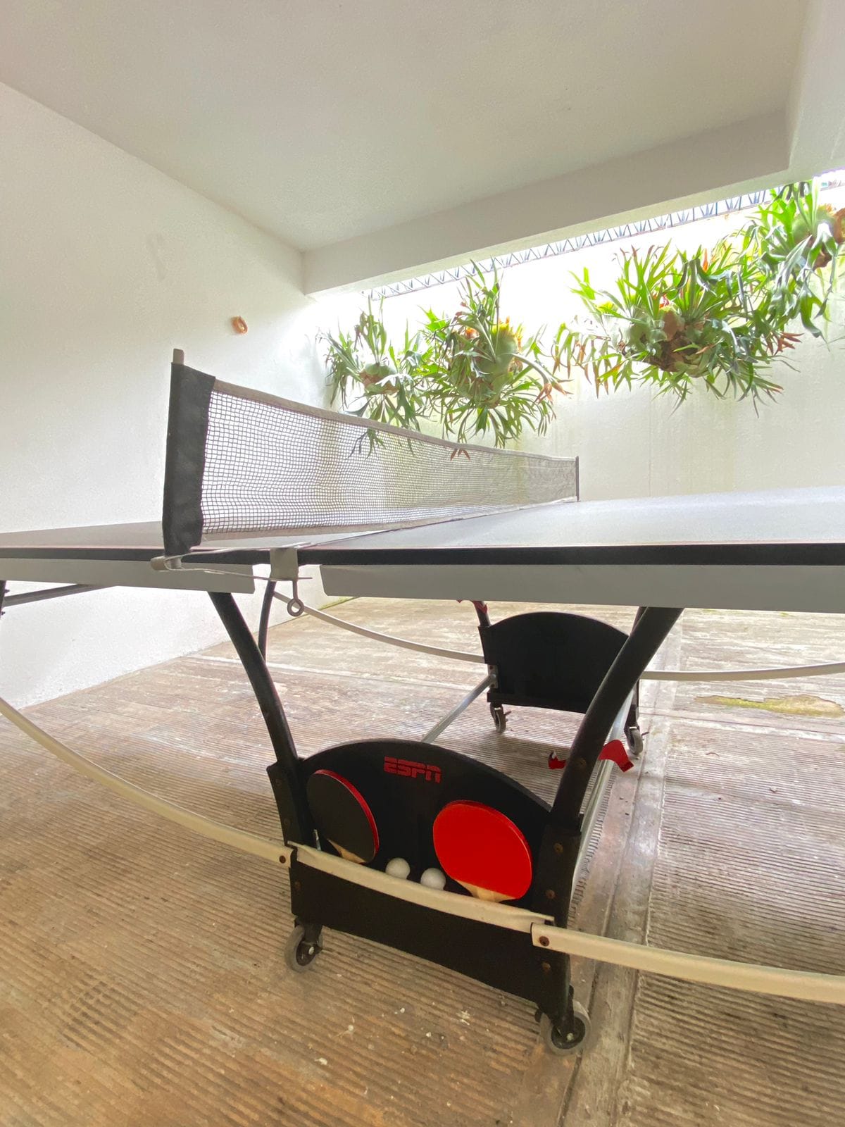 A table tennis setup is presented, featuring a black table with a net positioned down the center. The table is accompanied by a storage unit for balls and paddles. Lush greenery is visible in the backdrop, adding a natural element to the space.