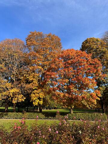 Leilighet – Majorstuen gallery image 5