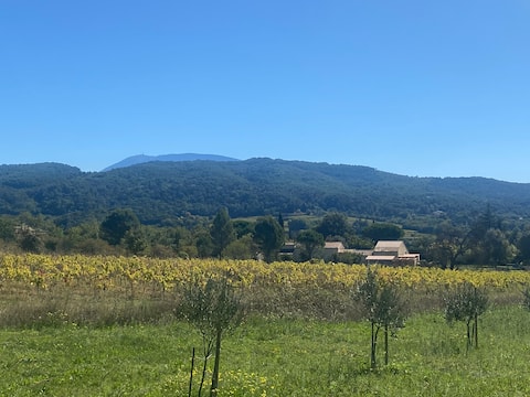 L'Ecrin de Tosca - Cottage in Provence with pool