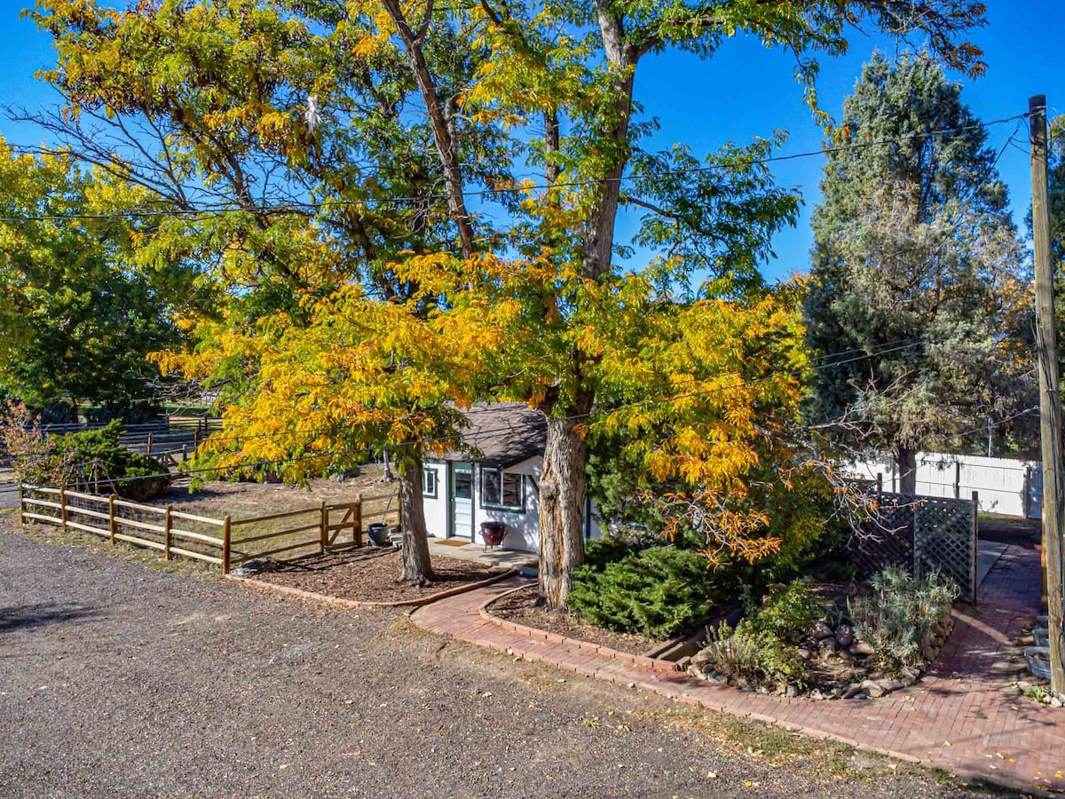 A quaint cottage is framed by vibrant autumn foliage, with a gravel pathway leading to the entrance. A wooden fence surrounds the yard, providing a sense of privacy. Trees and landscaped shrubs add to the natural setting, enhancing the peaceful ambiance.
