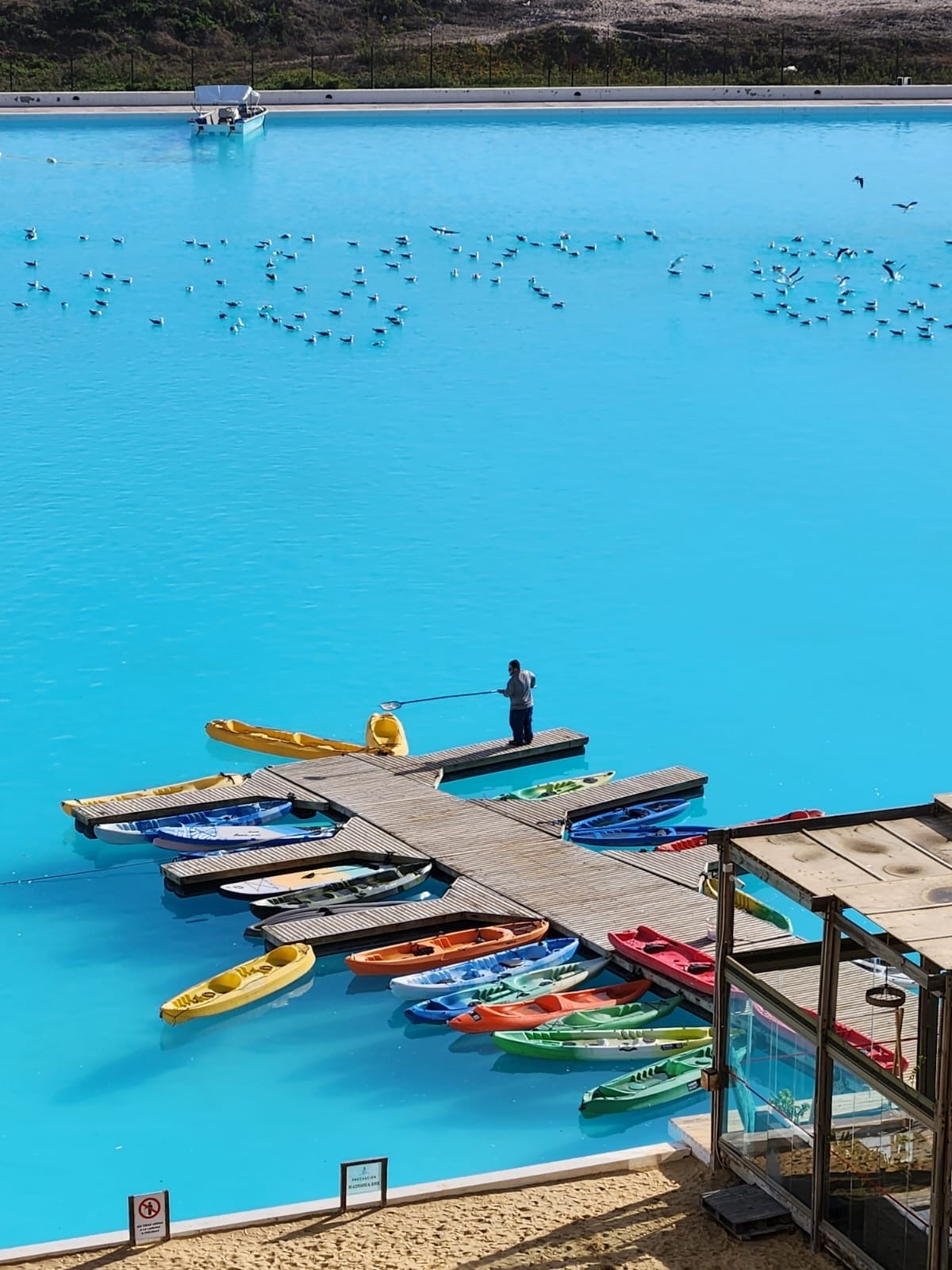 A brightly colored dock is seen extending over turquoise water, with several kayaks lined up in varying shades. A figure stands on the dock, fishing over the water's edge, while a flock of birds is visible in the distance.
