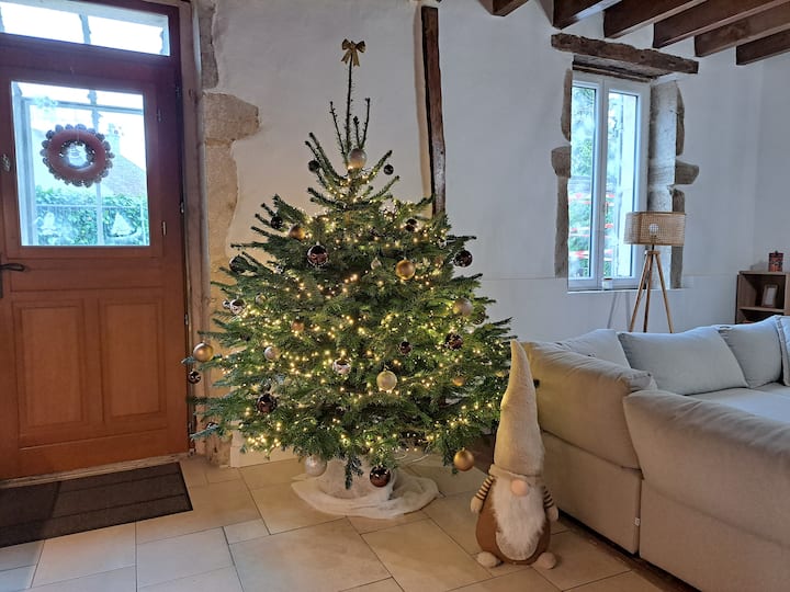 Maison 5* Climatisée, Spa / Pétanque Pour 6 Pers. - Beaune