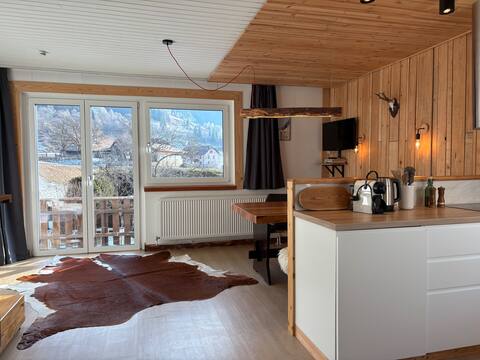 Chalet style apartment with mountain view!