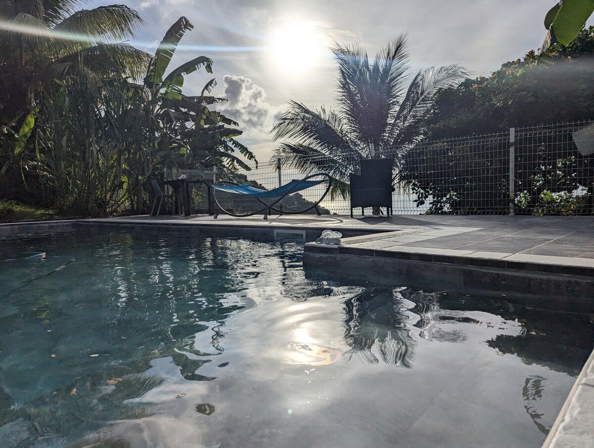 A tranquil swimming pool reflects the sunlight, surrounded by lush greenery and palm trees. A hammock is visible in the background, providing a relaxing space. The horizon displays a captivating view of the sea beneath a slightly cloudy sky.
