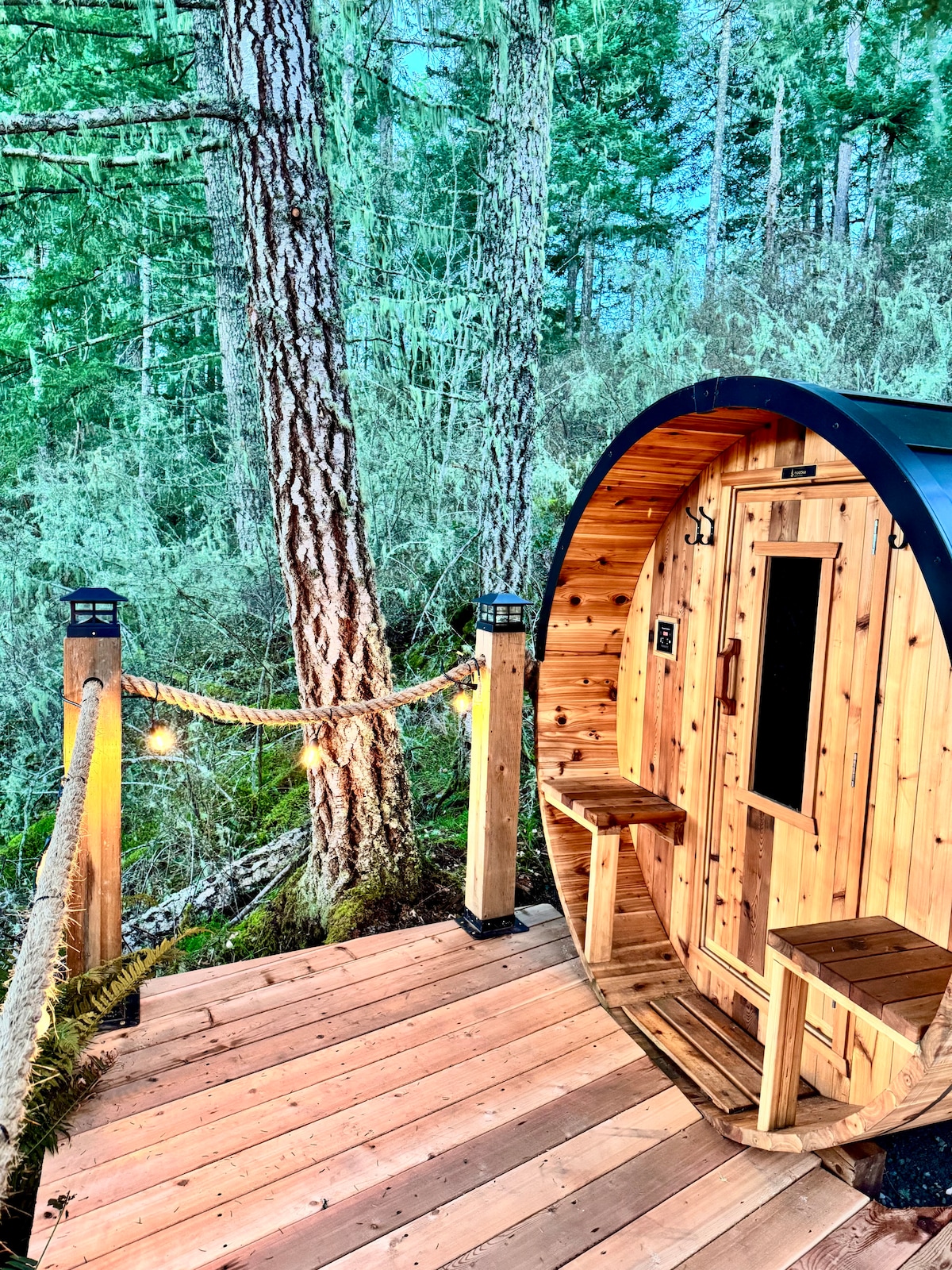 An outdoor cedar barrel sauna is situated among towering trees, creating a serene atmosphere. A wooden pathway leads to the sauna, enhanced by soft lighting. The structure features natural wooden cladding and a small bench area, inviting relaxation in a tranquil forest setting.