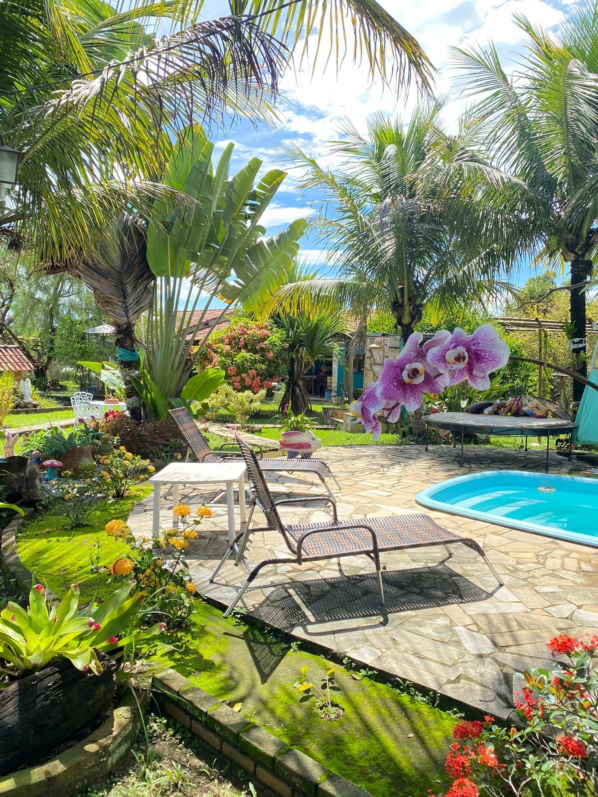 A serene outdoor area features a small swimming pool surrounded by lush greenery and colorful flowers. Lounge chairs are positioned on the stone patio, offering a relaxing space under the shade of tall palm trees. A peaceful atmosphere is created by vibrant plant life.
