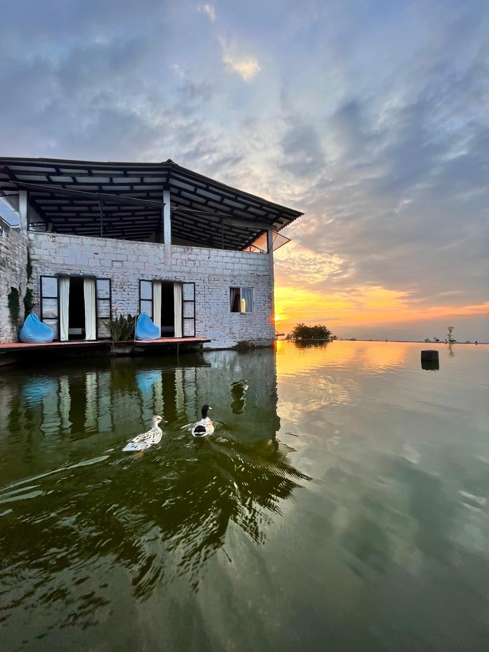 A contemporary building with large glass doors is seen reflecting on serene water. Two ducks glide across the surface as a vibrant sunset casts warm tones over the horizon, enhancing the setting's natural beauty.