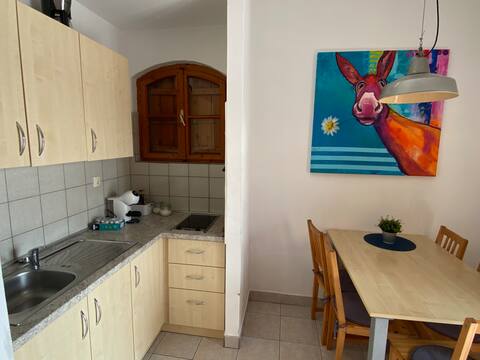 Top performing Airbnb: Lopar apartments SKUSA 1 in Općina Lopar