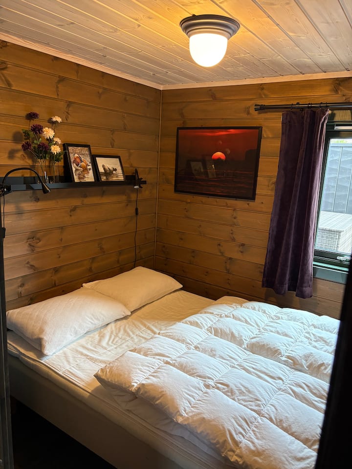 Habitación 1