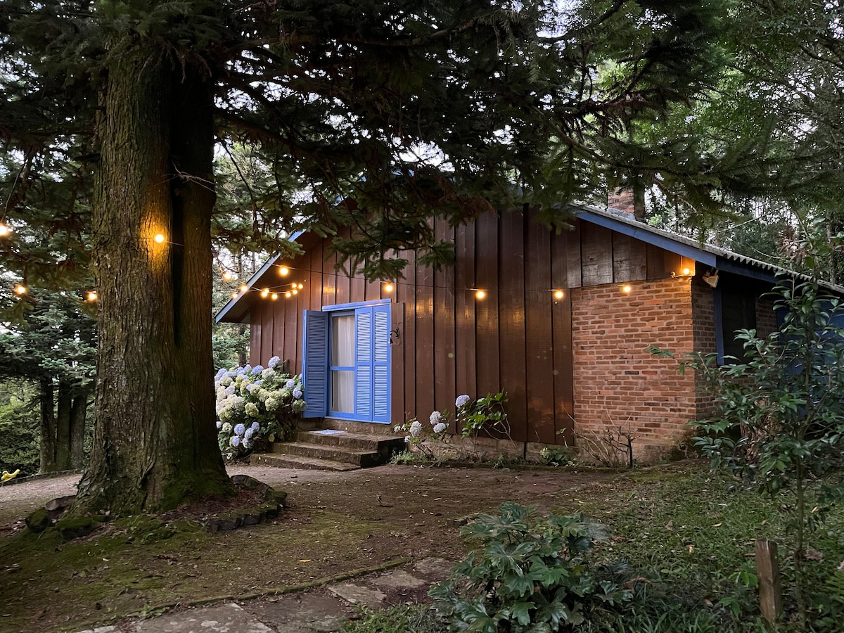 A rustic wooden and brick cabin is framed by tall trees and scattered hydrangeas. Soft outdoor lighting highlights the exterior, particularly the blue window shutters and the welcoming entrance, which features steps leading to the front door.