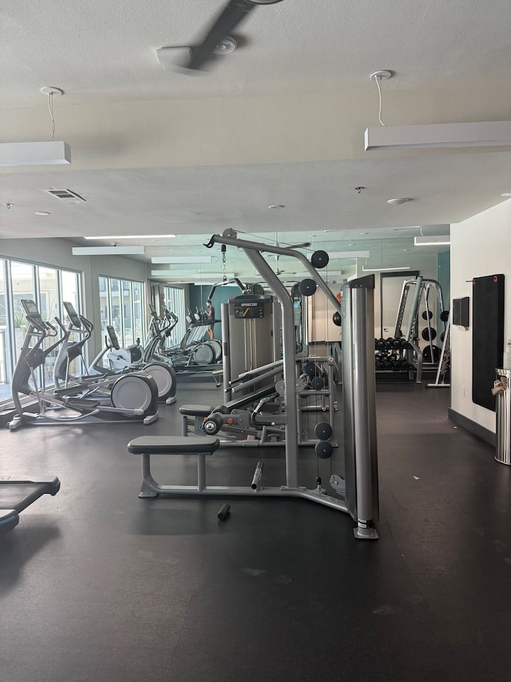Cozy 1BR/1BA Retreat for 3 Perfect! - Apartments for Rent in
