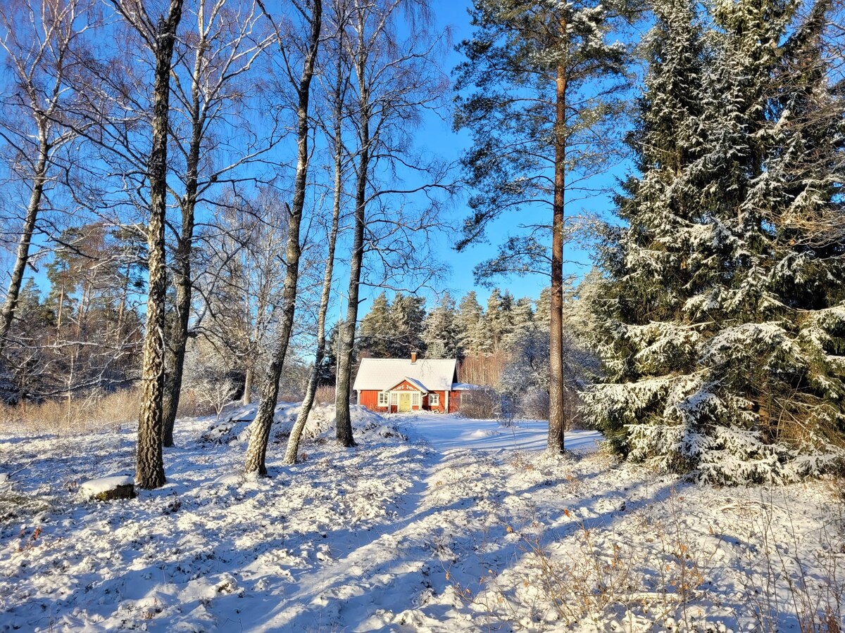 A charming red cottage is nestled among snow-covered trees, surrounded by a serene winter landscape. Sunlight filters through the branches, casting gentle shadows on the snowy ground, while a clear blue sky enhances the tranquil atmosphere, inviting exploration and relaxation.