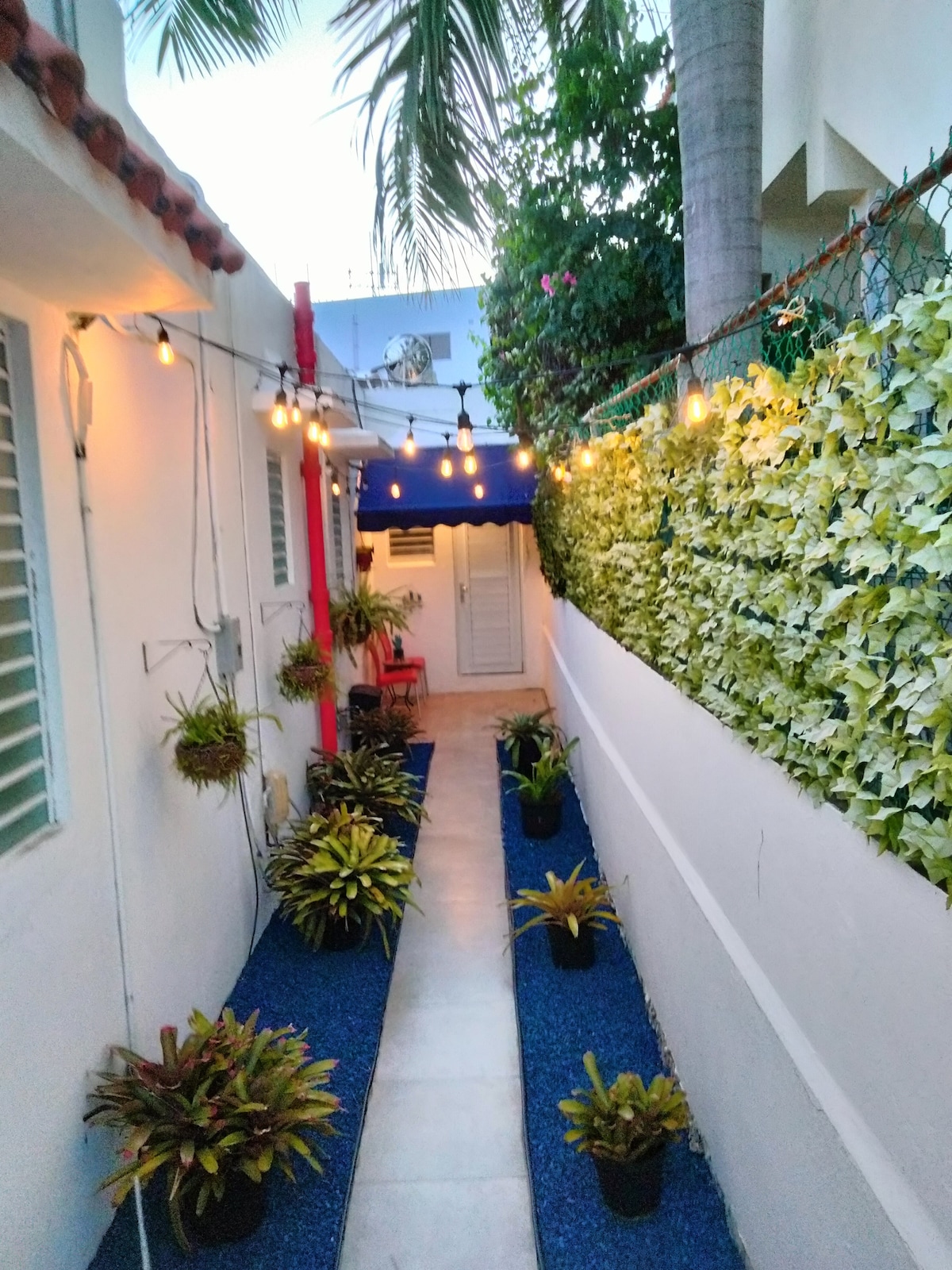 A narrow pathway is lined with vibrant plants and blue gravel, leading towards a door. String lights are suspended above, illuminating the space softly. Lush greenery covers one side of the wall, enhancing the serene atmosphere.