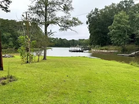 A spacious green yard extends to the edge of Lake Eufaula, bordered by tall trees. A wooden dock is visible on the water, providing access to the lake. Soft clouds drift above, contributing to a peaceful lakeside setting.