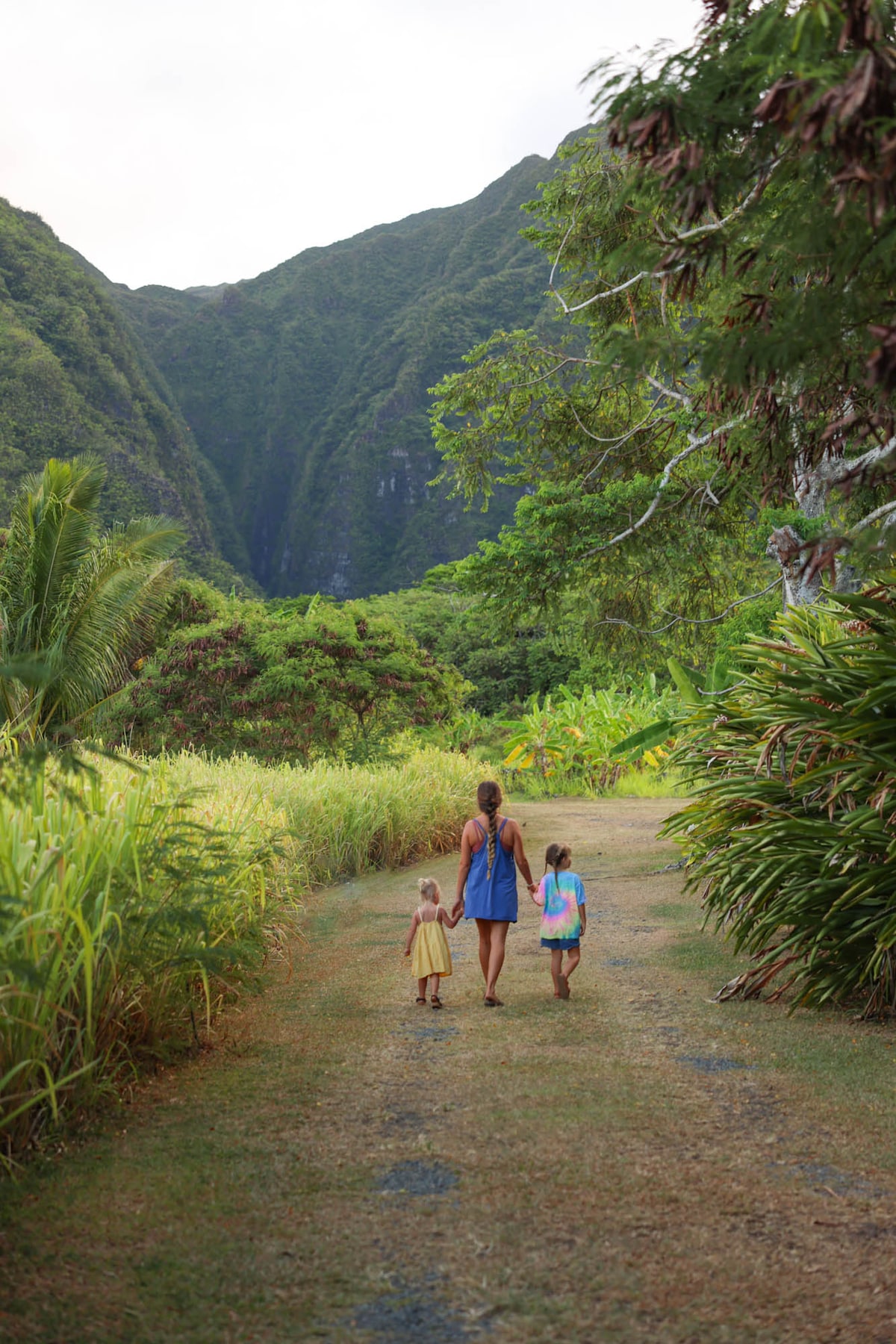 Rootz Wagon - North Shore Oahu - Tiny houses for Rent in Hauula