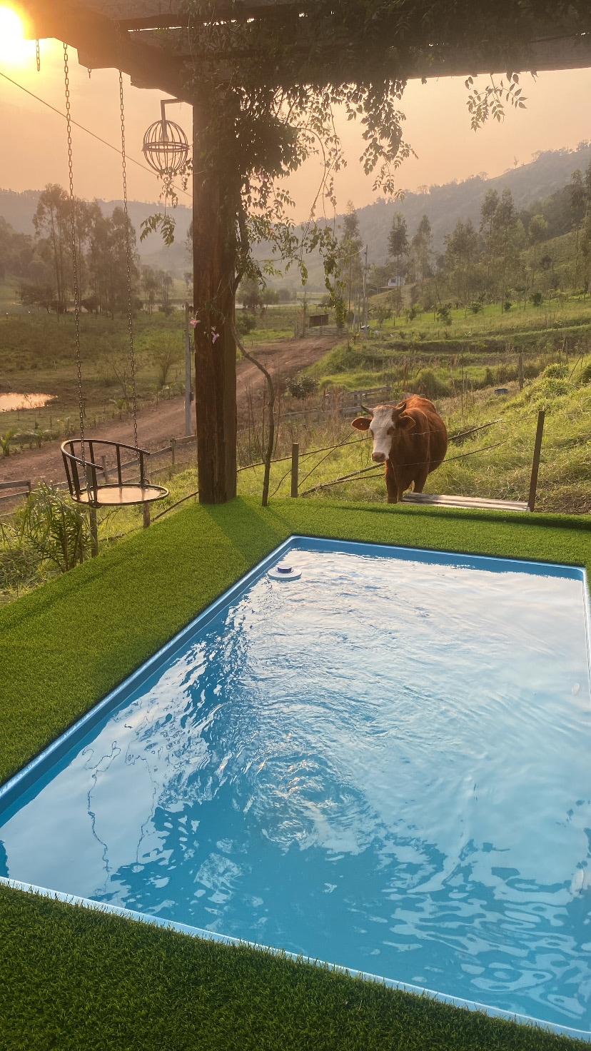 A refreshing pool is set against a backdrop of rolling hills and greenery. The pool area is surrounded by lush grass, and a cow can be seen wandering nearby. A small seating area with a chair and a decorative light fixture is also visible.