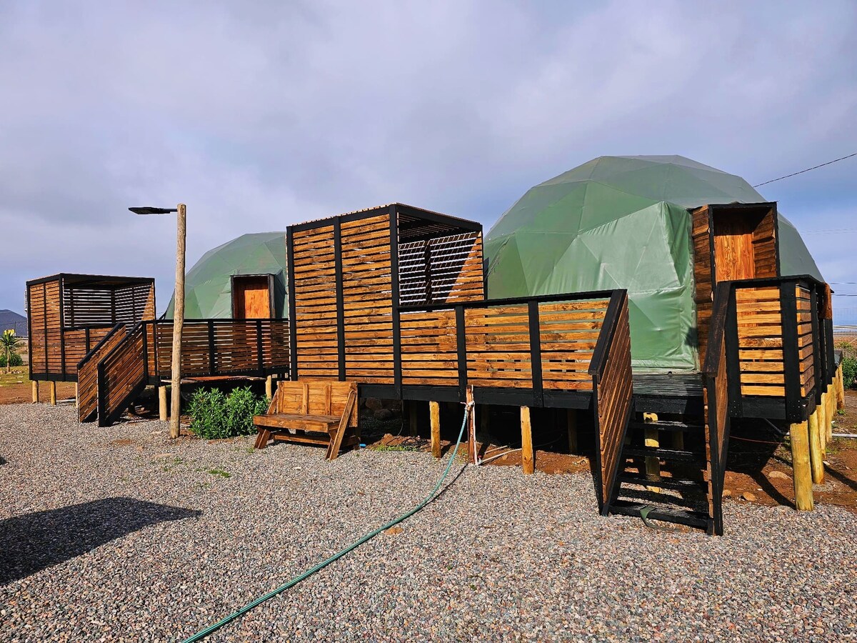 Two spacious domes are presented, each with a broad wooden deck featuring railings. The domes have rounded green tarps covering the roofs, contrasting with the warm wooden siding. A wooden bench is positioned in front, surrounded by gravel landscaping.