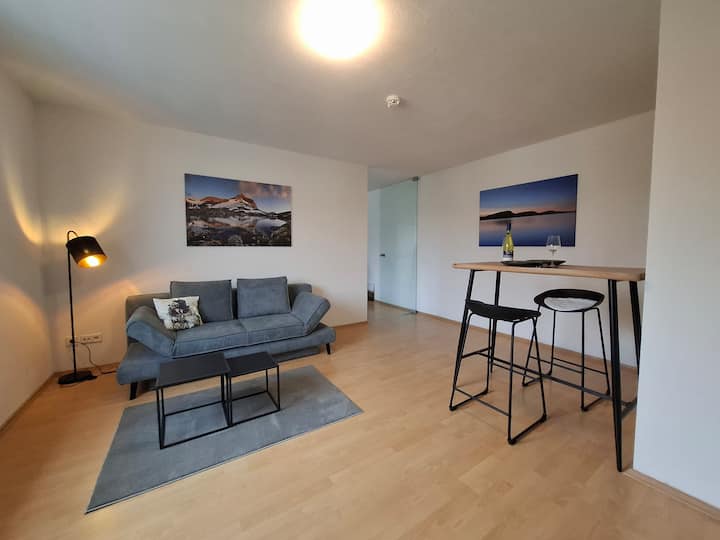 Appartement Im Frauenland - Würzburg
