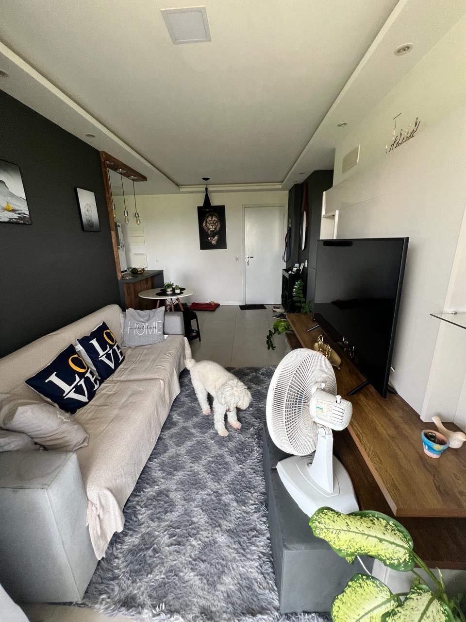 A modern living area features a light gray sofa adorned with decorative cushions. A white dog explores the textured area rug, while a flat-screen TV is set on a wooden stand. Decorative plants and artwork add character to the space.