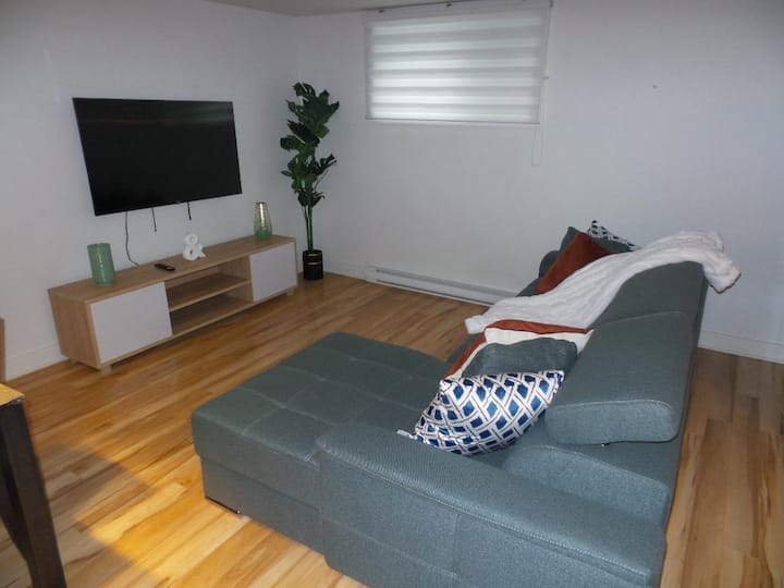 Chambre Lumineuse Dans Une 3 Et Demi à Louer - Blainville