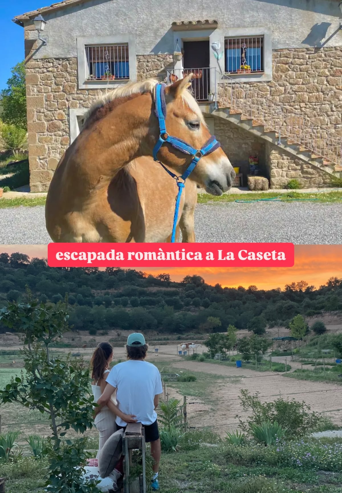 A horse stands in front of a rustic stone building with multiple windows and a welcoming entrance. In the background, a serene landscape stretches out, featuring trees and a gentle hill beneath a colorful sunset, providing a tranquil atmosphere for guests.