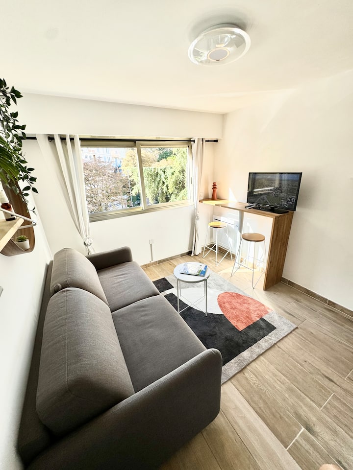 Joli Studio Centre Cannes - Cannes