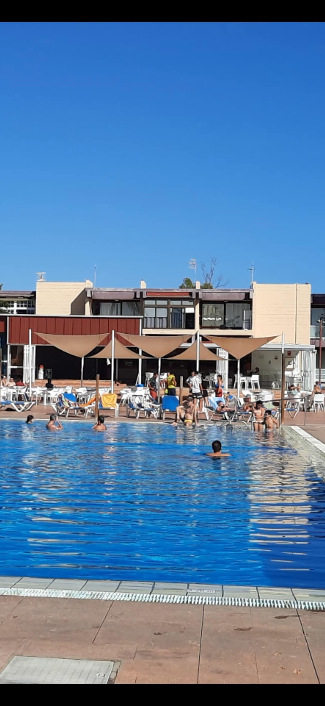 A large swimming pool is surrounded by lounge chairs and umbrellas, creating a sunlit area for relaxation. People can be seen enjoying the water and socializing. The backdrop features a modern building with balconies, contributing to the vibrant atmosphere of the pool area.
