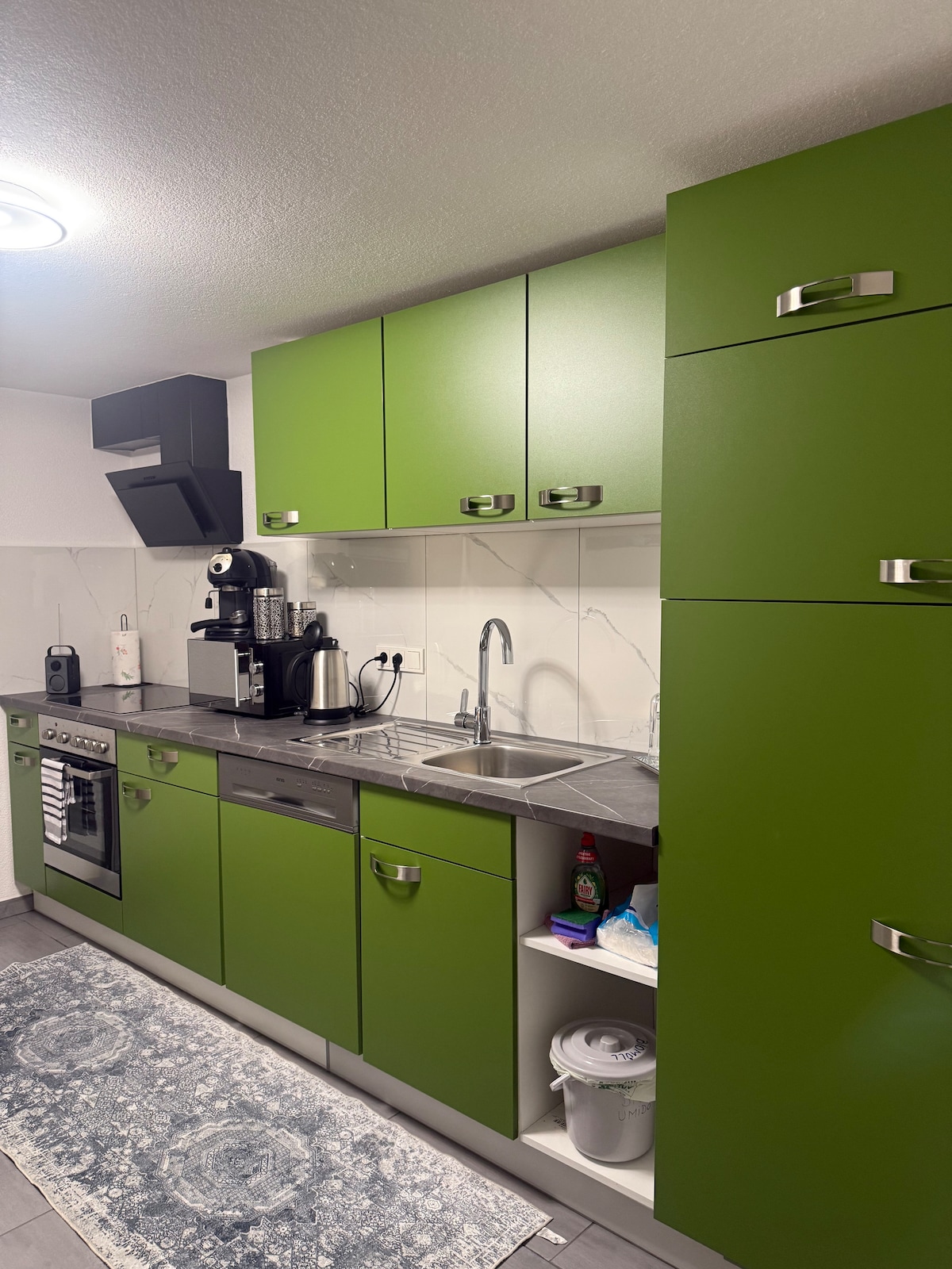 The kitchen features green cabinetry and a sleek countertop. A stainless steel oven and gas stovetop are included, along with a modern coffee maker. A stainless steel sink and spacious work area allow for meal preparation, while a decorative rug adds warmth to the space.