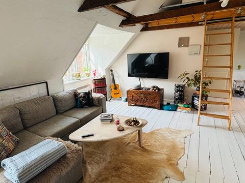 Top performing Airbnb: On top of the little red one! in Helsingør
