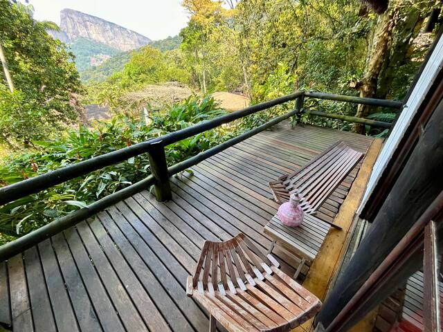 Rainforest Paradise 2 gallery image 5