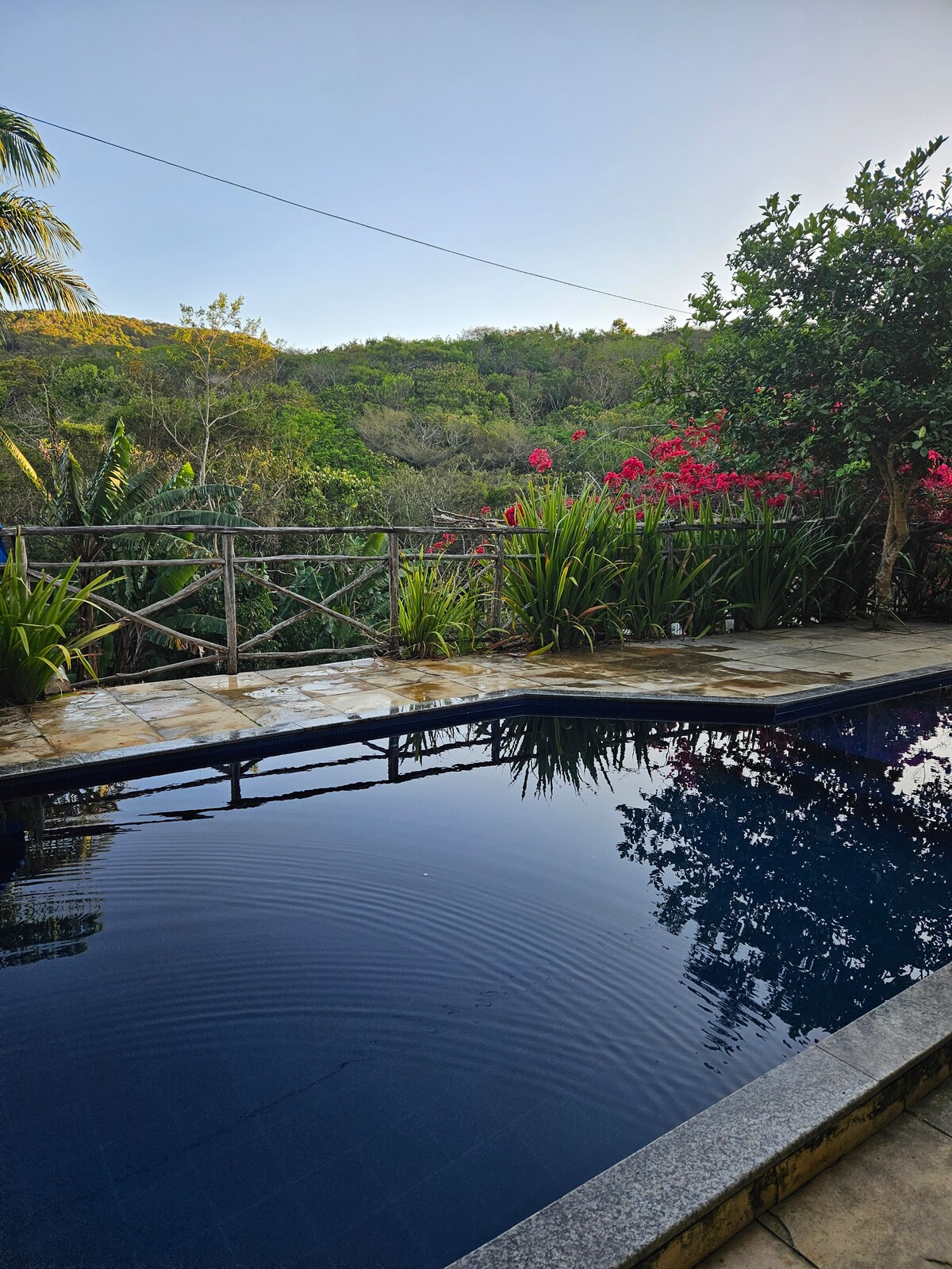 A serene outdoor area features a tranquil swimming pool bordered by lush greenery and vibrant tropical plants. The calm water reflects the surrounding landscape, while a wooden railing offers a sense of enclosure, enhancing the natural beauty of the setting.