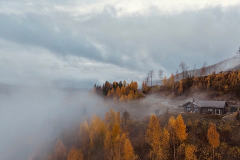 Fjordview Design Lodge • Panoramic Views & Sauna