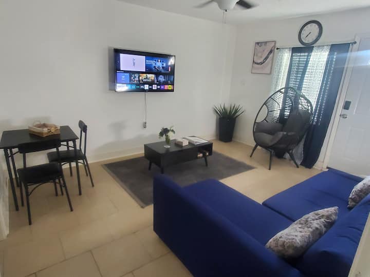 Cozy,unique & Private Apartment In Spring Near Iah - Aeropuerto de Houston George Bush (IAH)