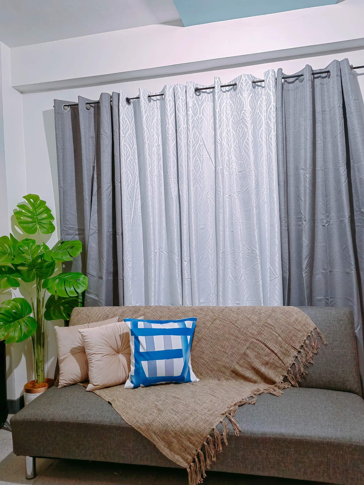A modern sofa is positioned against a wall, accented with a light brown throw and decorative cushions in blue and beige. Tall grey and white curtains frame the window, while a leafy green plant adds a touch of nature to the space.