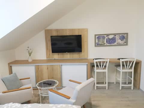 Private apartment in the center of Třeboň