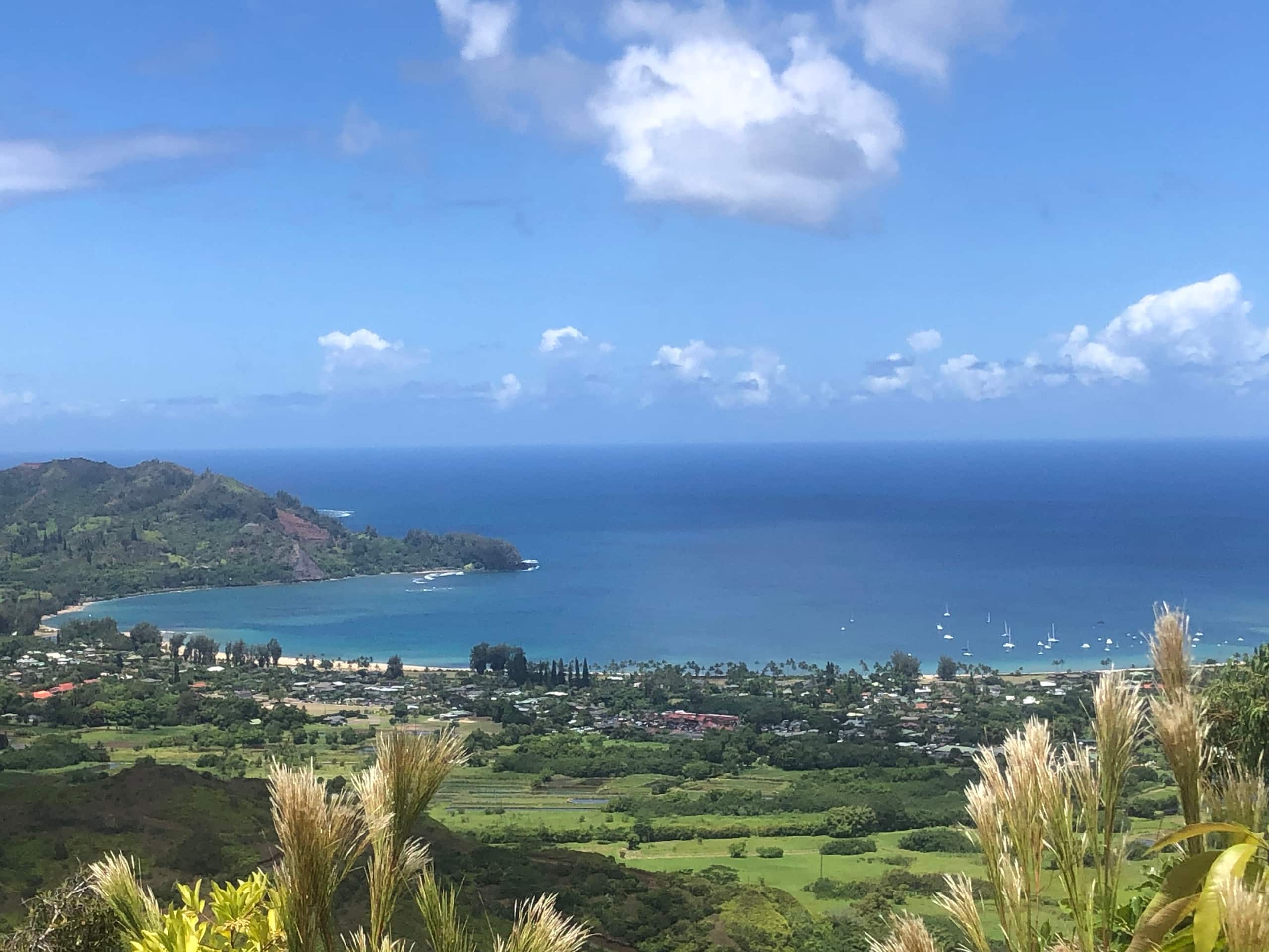 Condo in Princeville · ★4.81 · 1 bedroom · 2 beds · 1 bath - Image 30